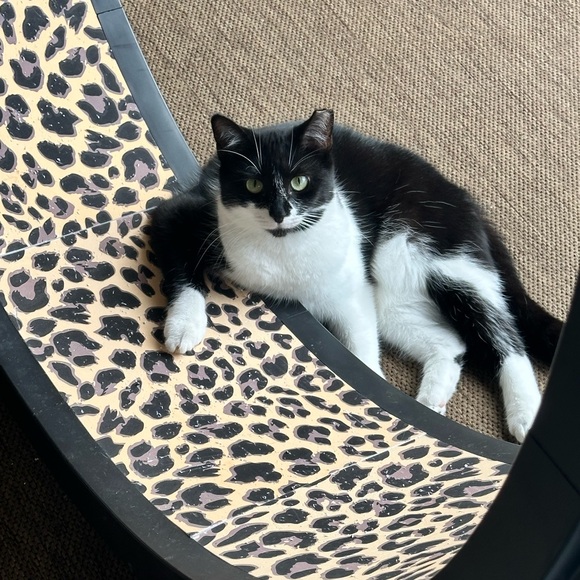 Meet your Posher, Irma - Picture 1 of 1